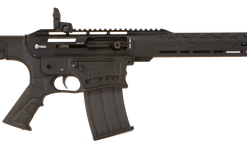Citadel Boss 25 12 Ga, 3" Chamber 18.75" Barrel, Black, Synthetic Stock, 5rd