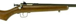 Keystone Crickett 22LR, Blued, Walnut Stock