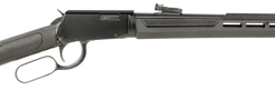 Rossi Rio Bravo 22 WMR, 20" Barrel, Black, Polished, Synthetic Stock, Fiber Optic Sights, 12rd