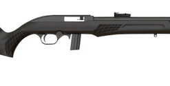Rossi, RS22 22 LR, 18" Threaded Barrel, Black Color, Synthetic Stock, Adjustable Fiber Optic Sights, 10Rd