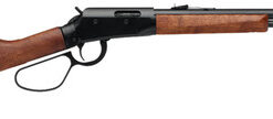 Savage Revel Classic 22 LR, 18" Barrel, Satin Walnut Furniture, Black Rec, 12rd
