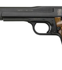Smith & Wesson 41 22LR, 7", Adjustable Sight Wooden Target, Thumbrest Grip Blue, 10rd